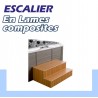 ESCALIER EN LAMES COMPOSITES
